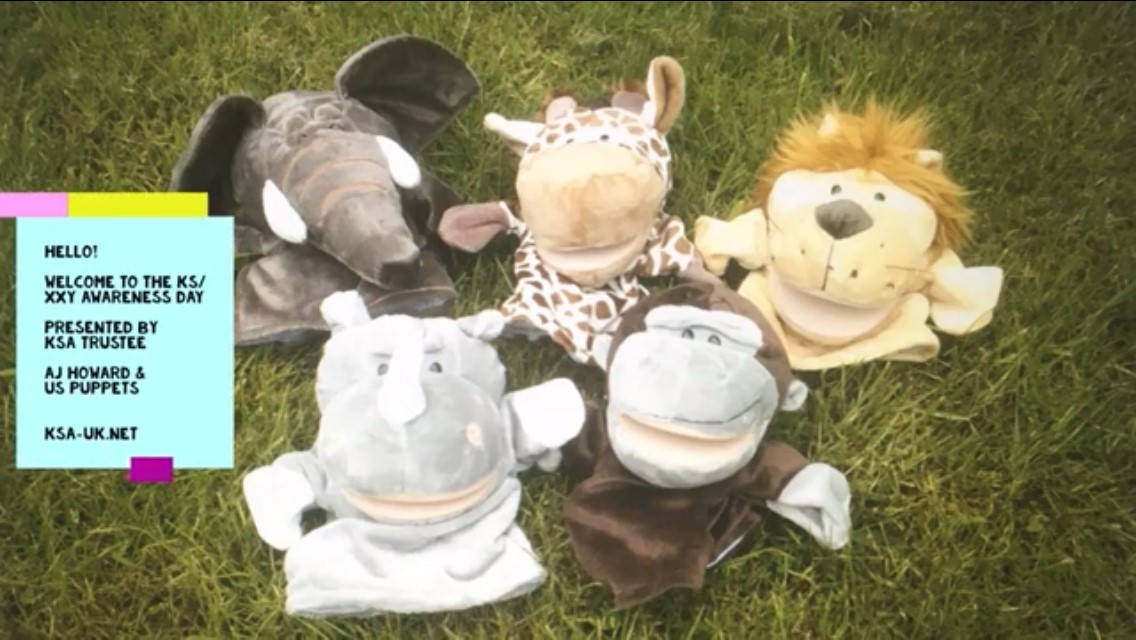 A group of glove puppets