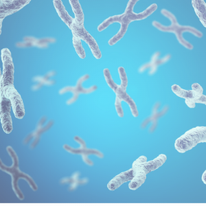 Chromosome